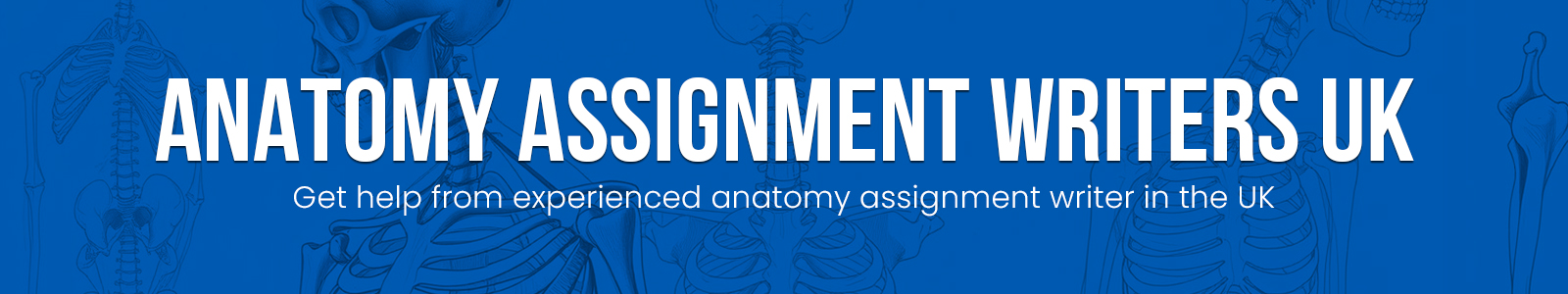 Anatomy Assignment Writers UK