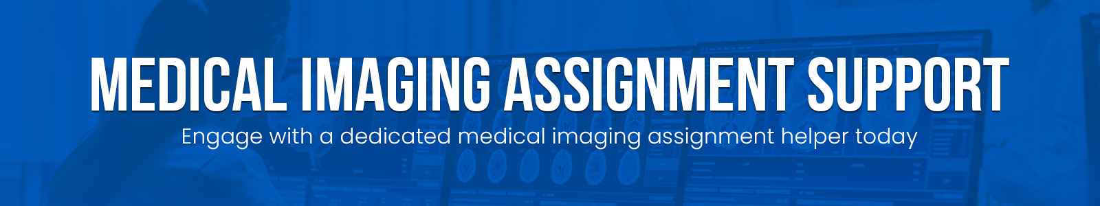 Medical Imaging Assignment Support